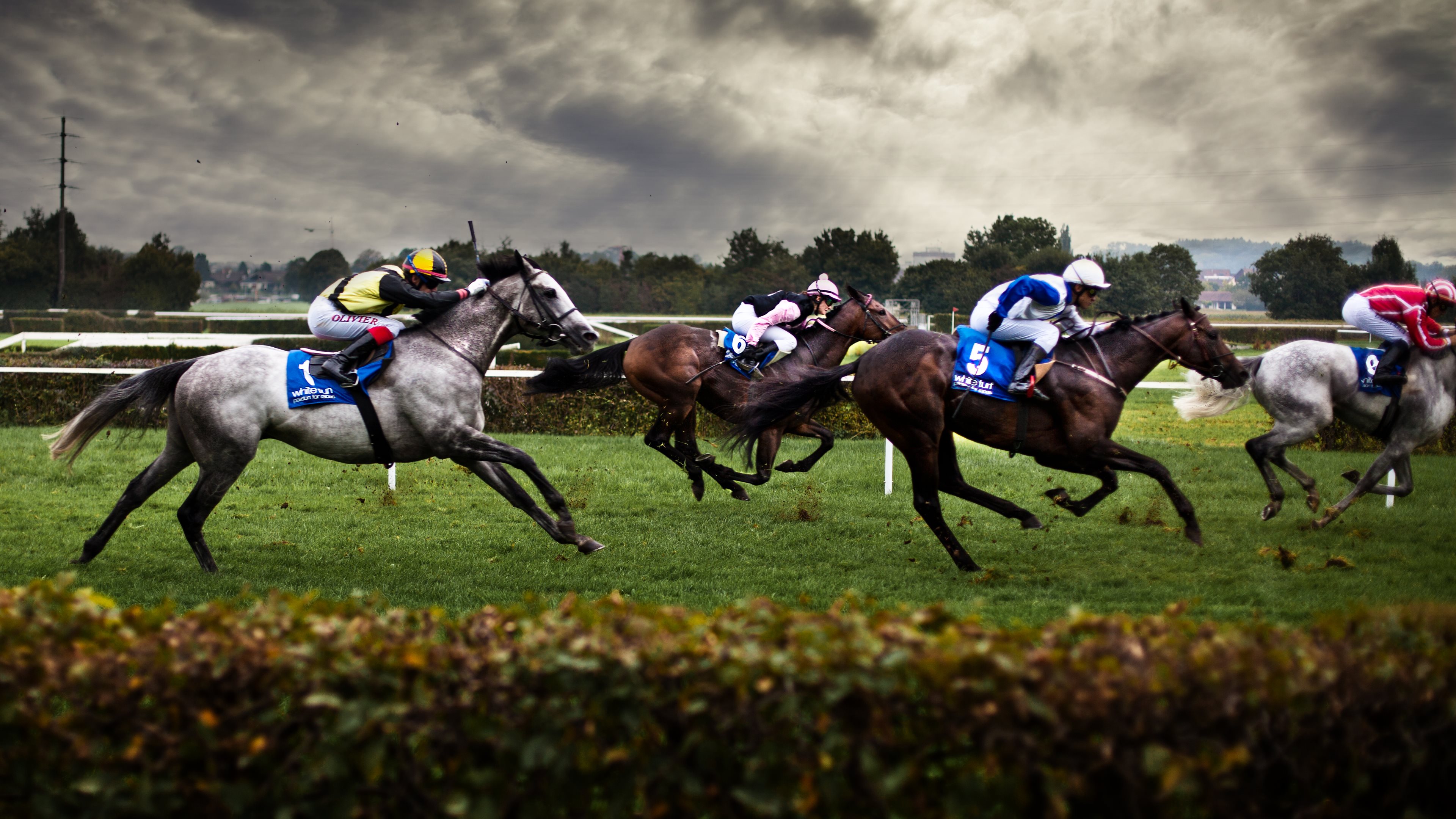 Horse Racing Commentator Voice Darren Altman